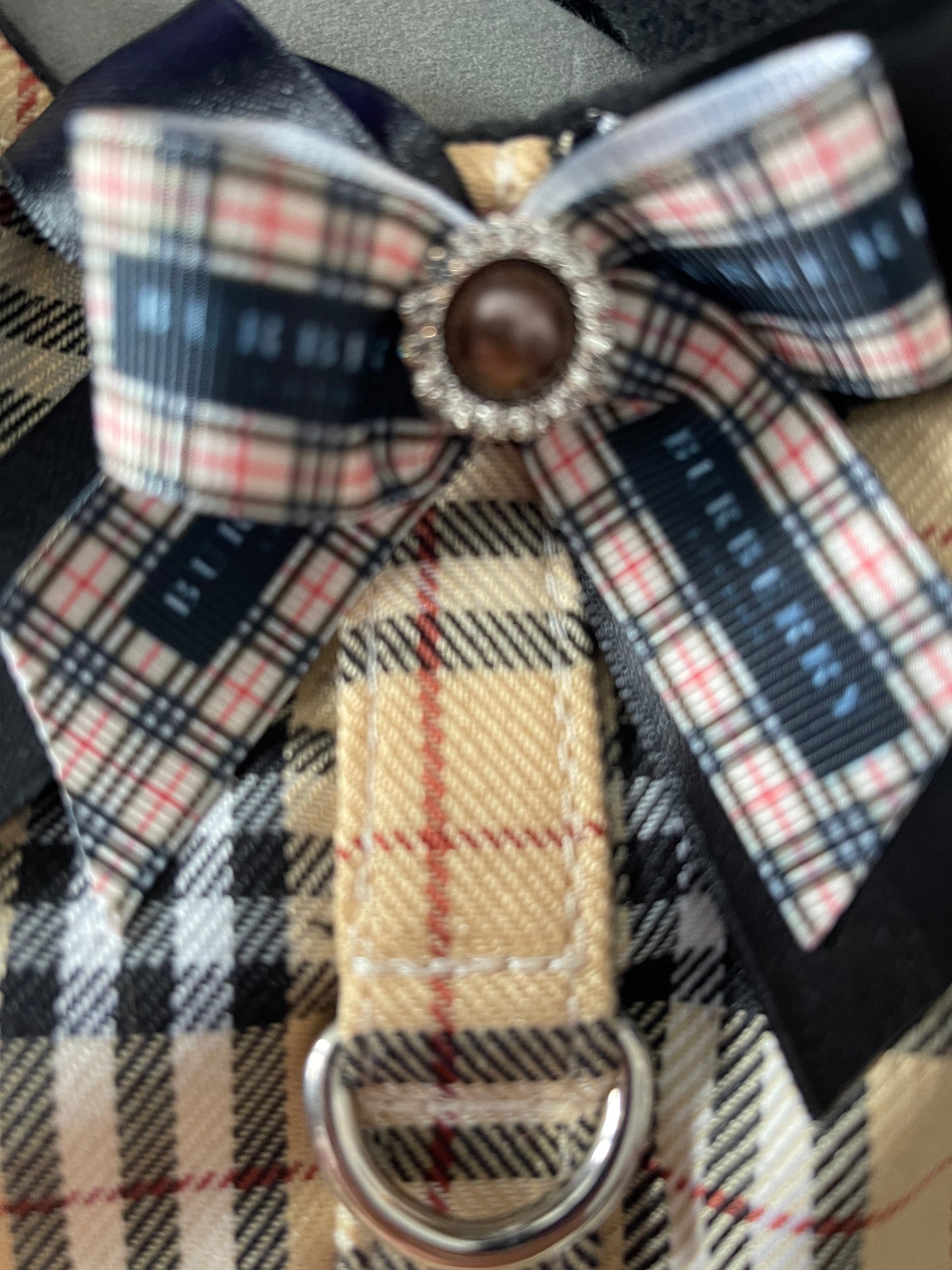 Designer Inspired Harness