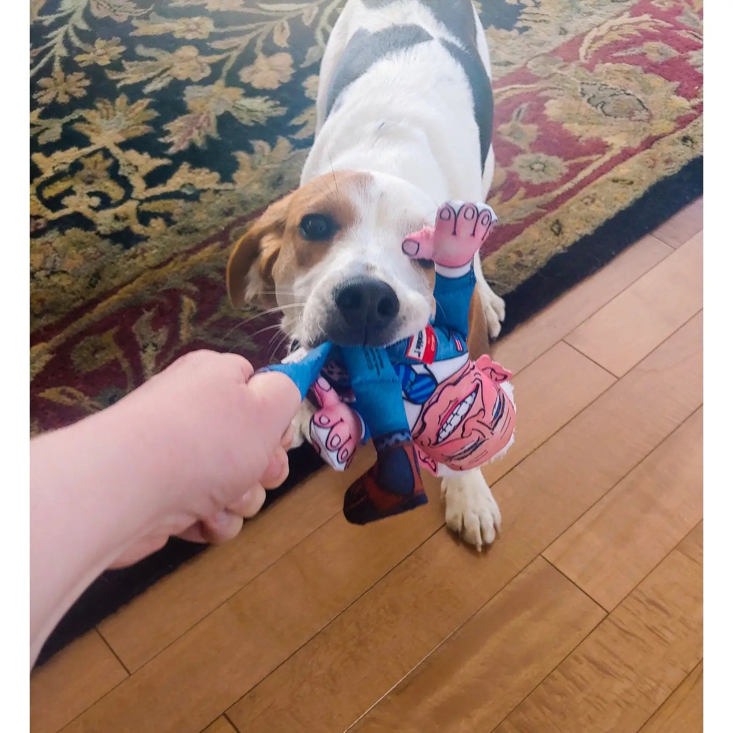 Political Parody Dog Toy - Joe Biden available large or small