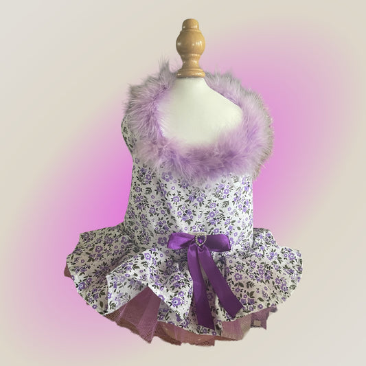 Purple People Lover with a purple feather boa collar