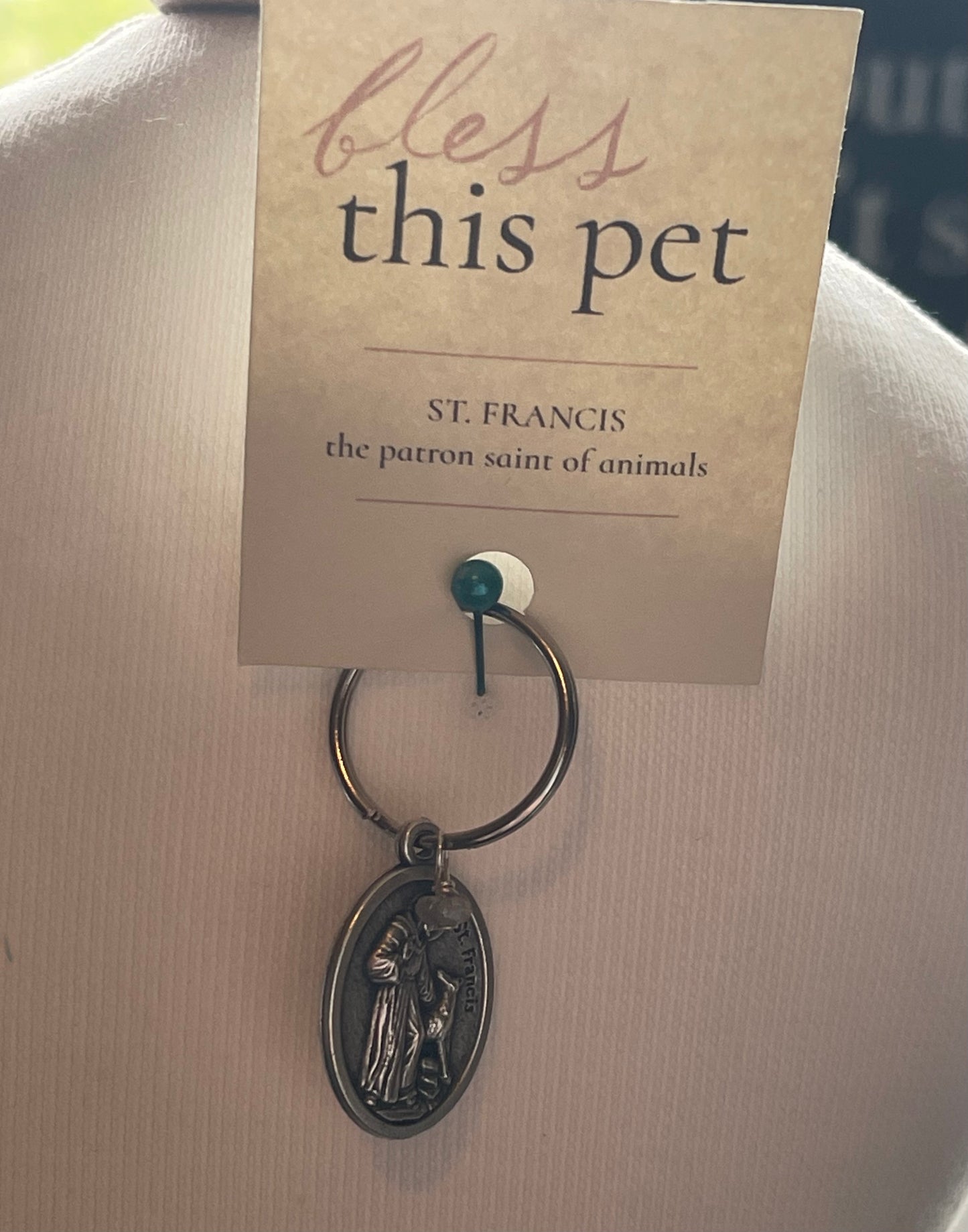 Bless This Pet Tag with Gemstone Dog/Cat Charm