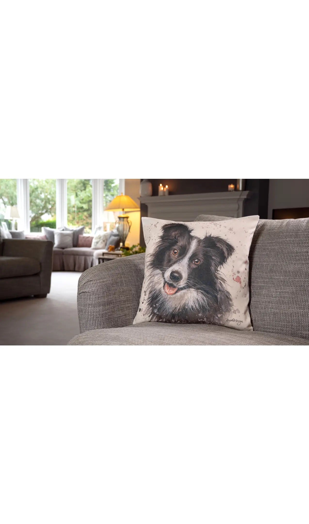 Cushion Pillow Border Collie